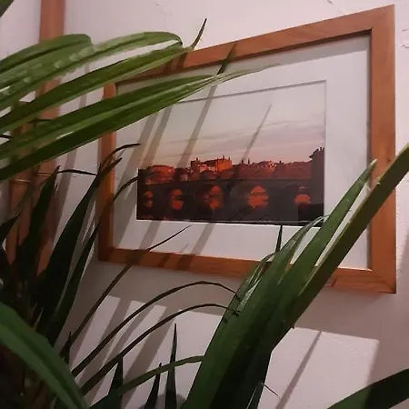 Canal Du Midi Lägenhet Toulouse